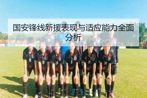 国安锋线新援表现与适应能力全面分析